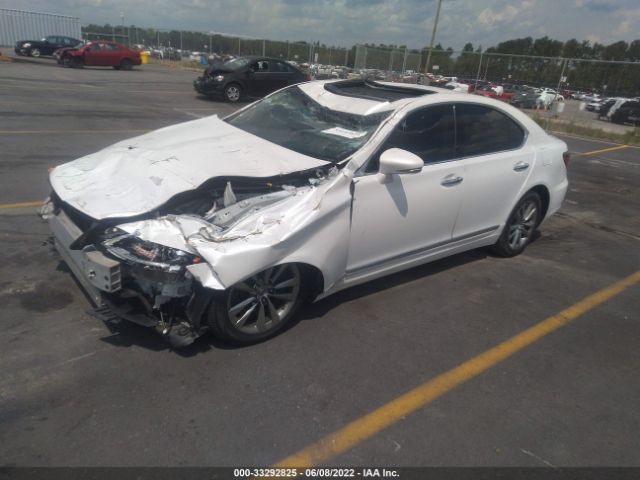 Photo 1 VIN: JTHCL5EF3G5025758 - LEXUS LS 460 