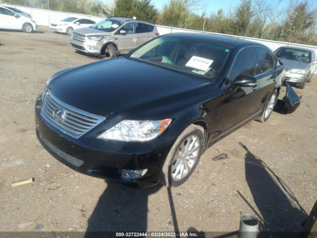 Photo 1 VIN: JTHCL5EF4A5007096 - LEXUS LS 460 