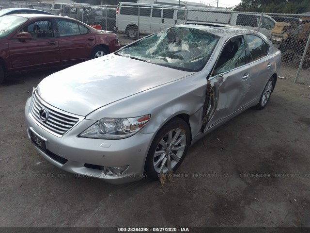 Photo 1 VIN: JTHCL5EF4B5008945 - LEXUS LS 460 