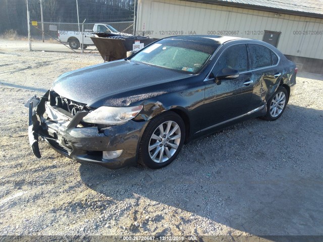 Photo 1 VIN: JTHCL5EF4B5010159 - LEXUS LS 460 