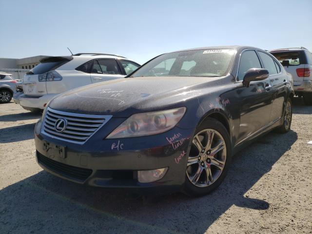 Photo 1 VIN: JTHCL5EF4B5011229 - LEXUS LS 460 