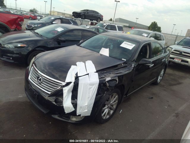 Photo 1 VIN: JTHCL5EF4B5011344 - LEXUS LS 460 