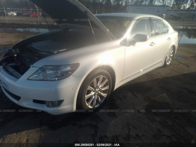 Photo 1 VIN: JTHCL5EF5A5005972 - LEXUS LS 460 