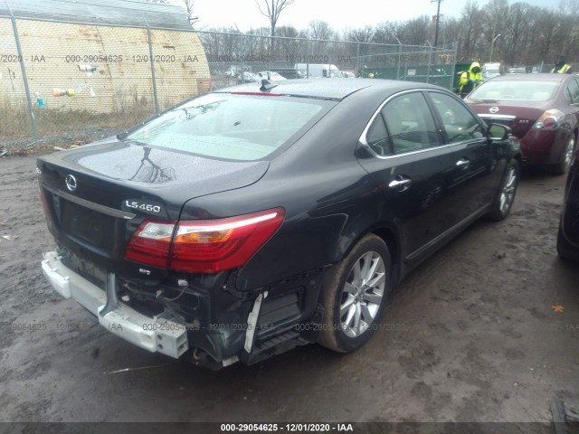 Photo 3 VIN: JTHCL5EF5A5007866 - LEXUS LS 460 