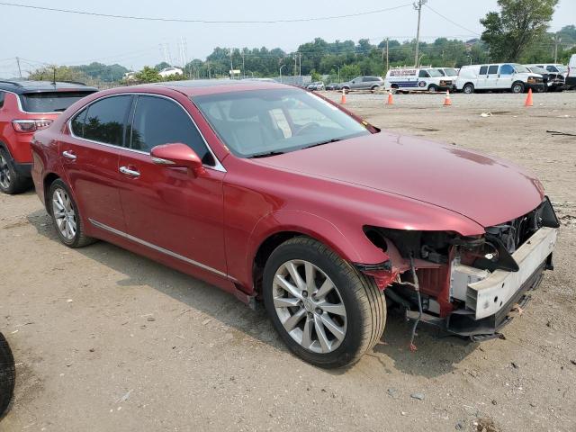 Photo 3 VIN: JTHCL5EF5B5009408 - LEXUS LS 460 