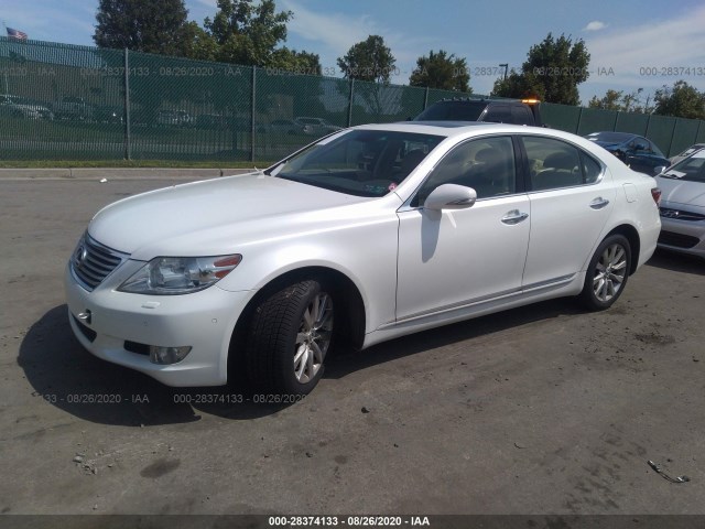 Photo 1 VIN: JTHCL5EF5B5011563 - LEXUS LS 460 