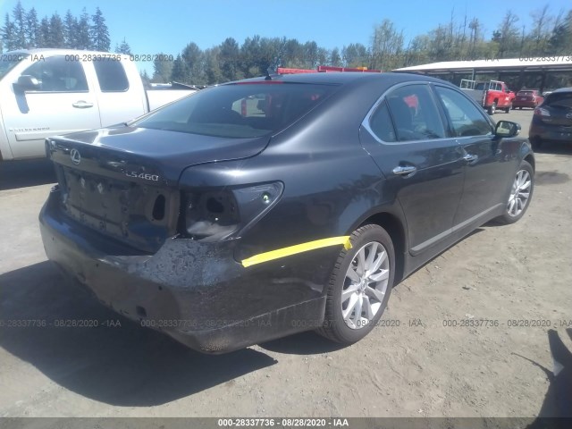 Photo 3 VIN: JTHCL5EF5B5011644 - LEXUS LS 460 