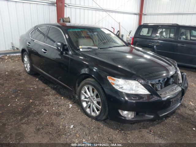 Photo 0 VIN: JTHCL5EF5B5011899 - LEXUS LS 460 