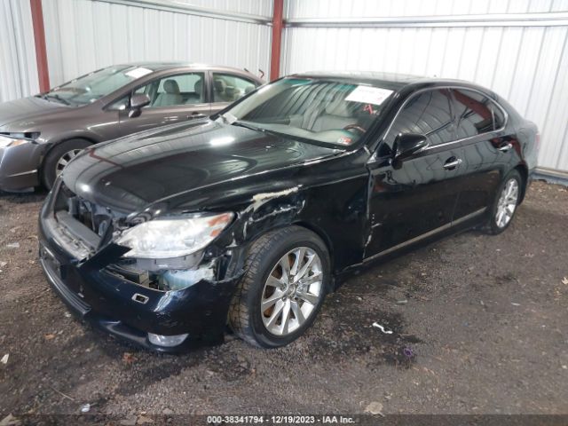 Photo 1 VIN: JTHCL5EF5B5011899 - LEXUS LS 460 