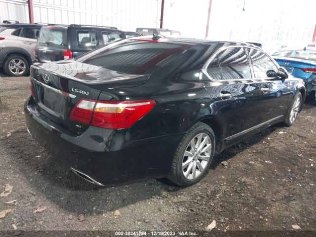 Photo 3 VIN: JTHCL5EF5B5011899 - LEXUS LS 460 