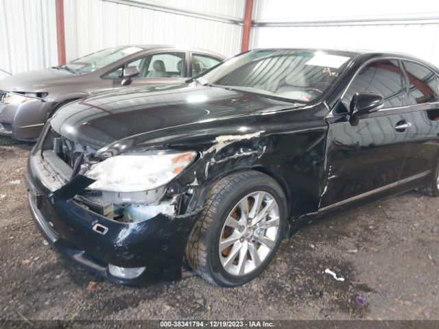 Photo 5 VIN: JTHCL5EF5B5011899 - LEXUS LS 460 