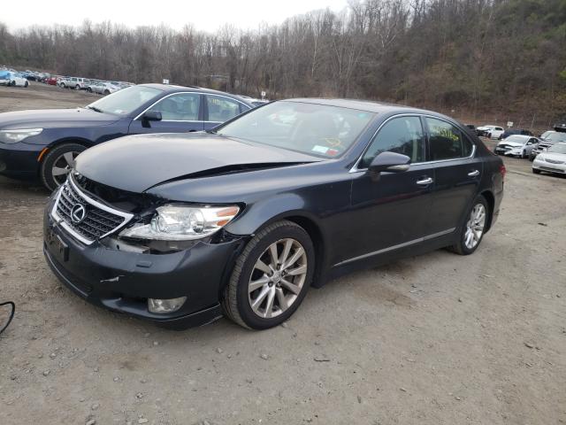 Photo 1 VIN: JTHCL5EF5B5012468 - LEXUS LS 460 