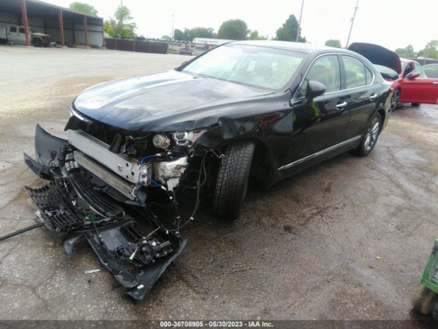 Photo 1 VIN: JTHCL5EF5E5021966 - LEXUS LS 460 