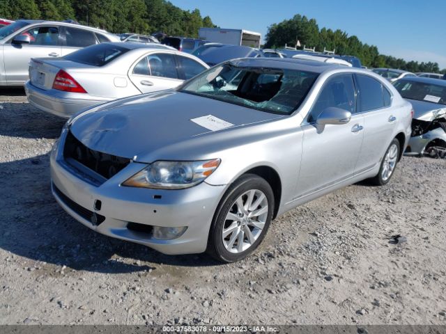 Photo 1 VIN: JTHCL5EF6A5007987 - LEXUS LS 460 