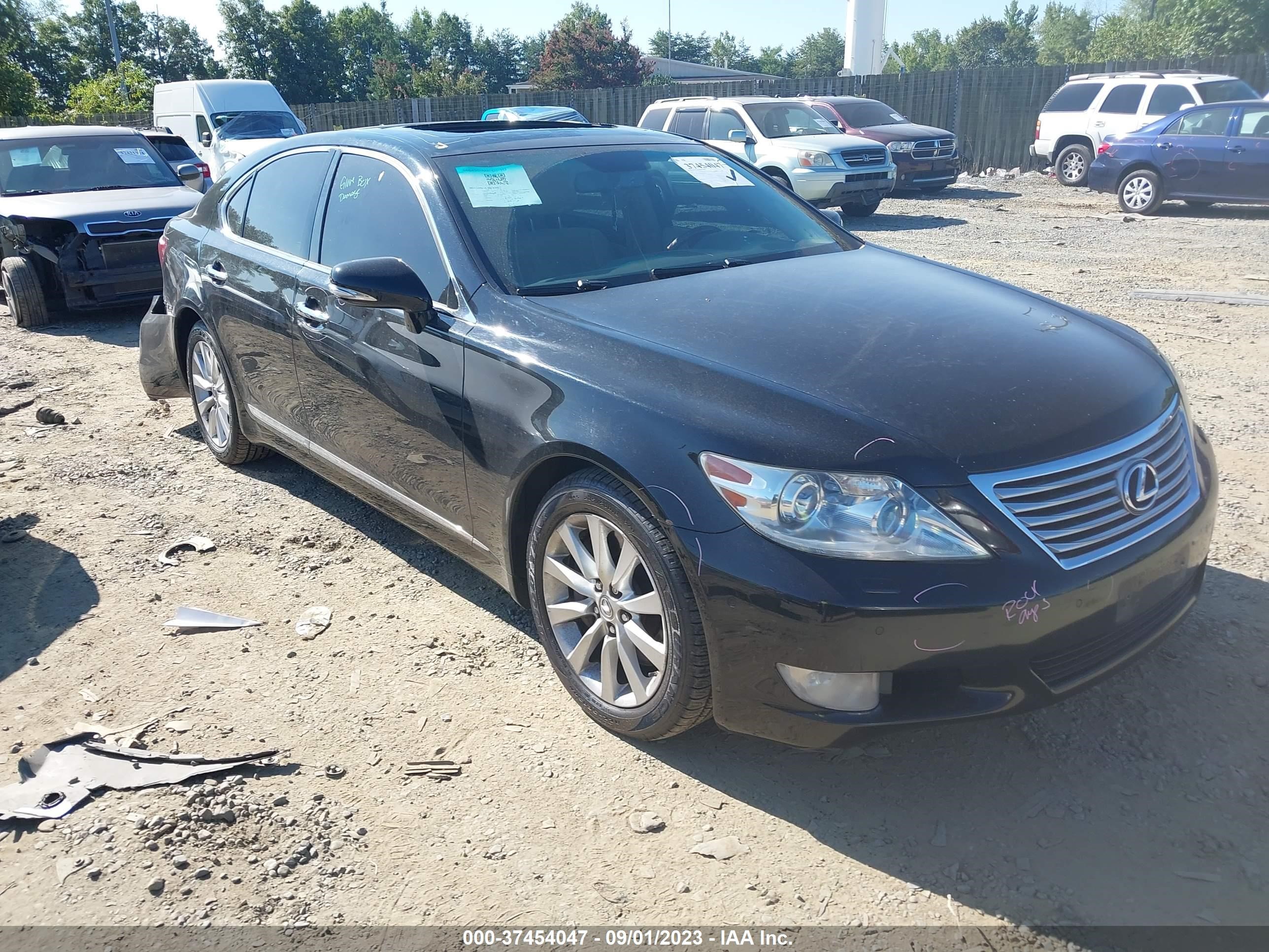 Photo 0 VIN: JTHCL5EF6B5010146 - LEXUS LS 