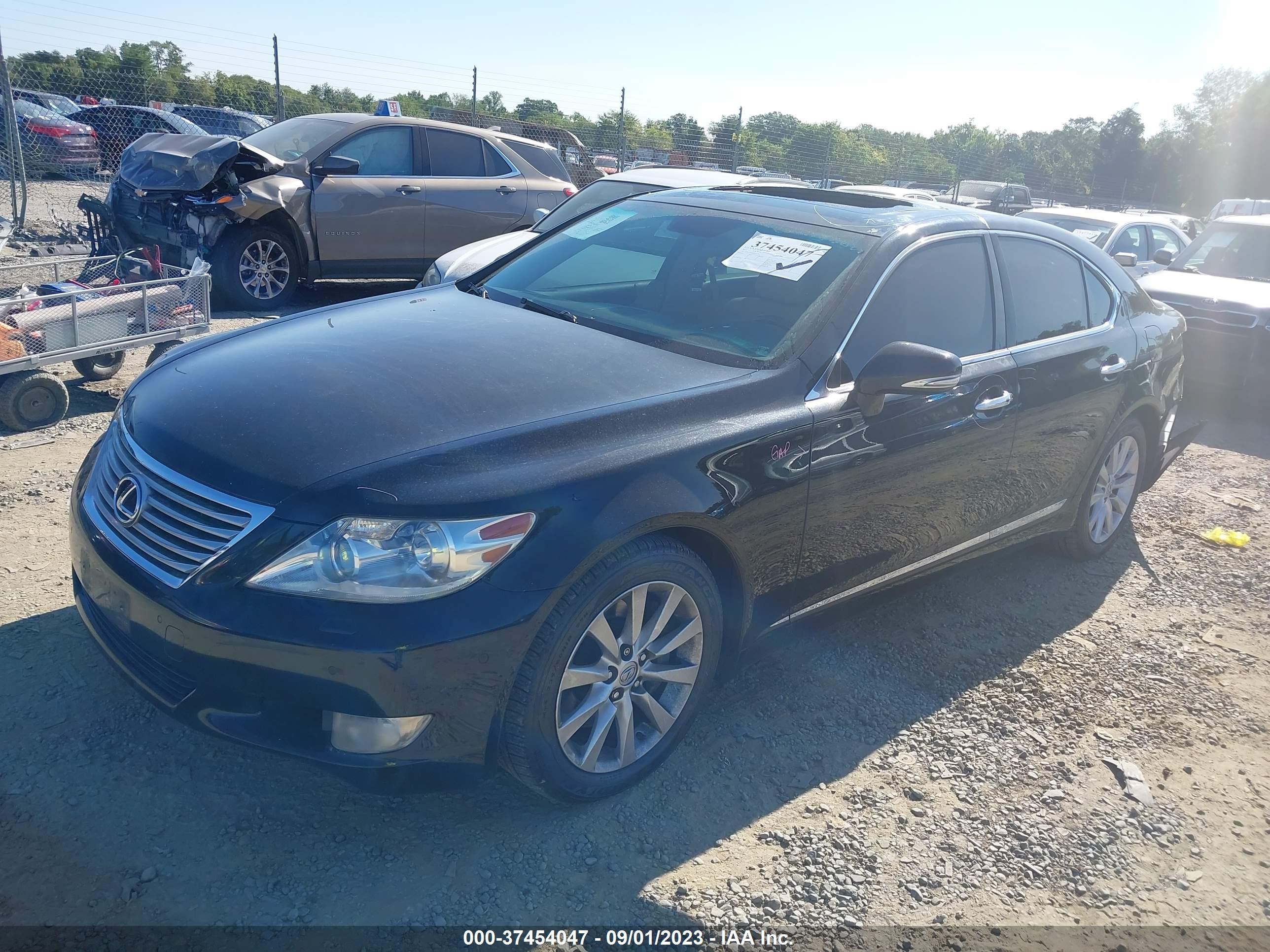 Photo 1 VIN: JTHCL5EF6B5010146 - LEXUS LS 