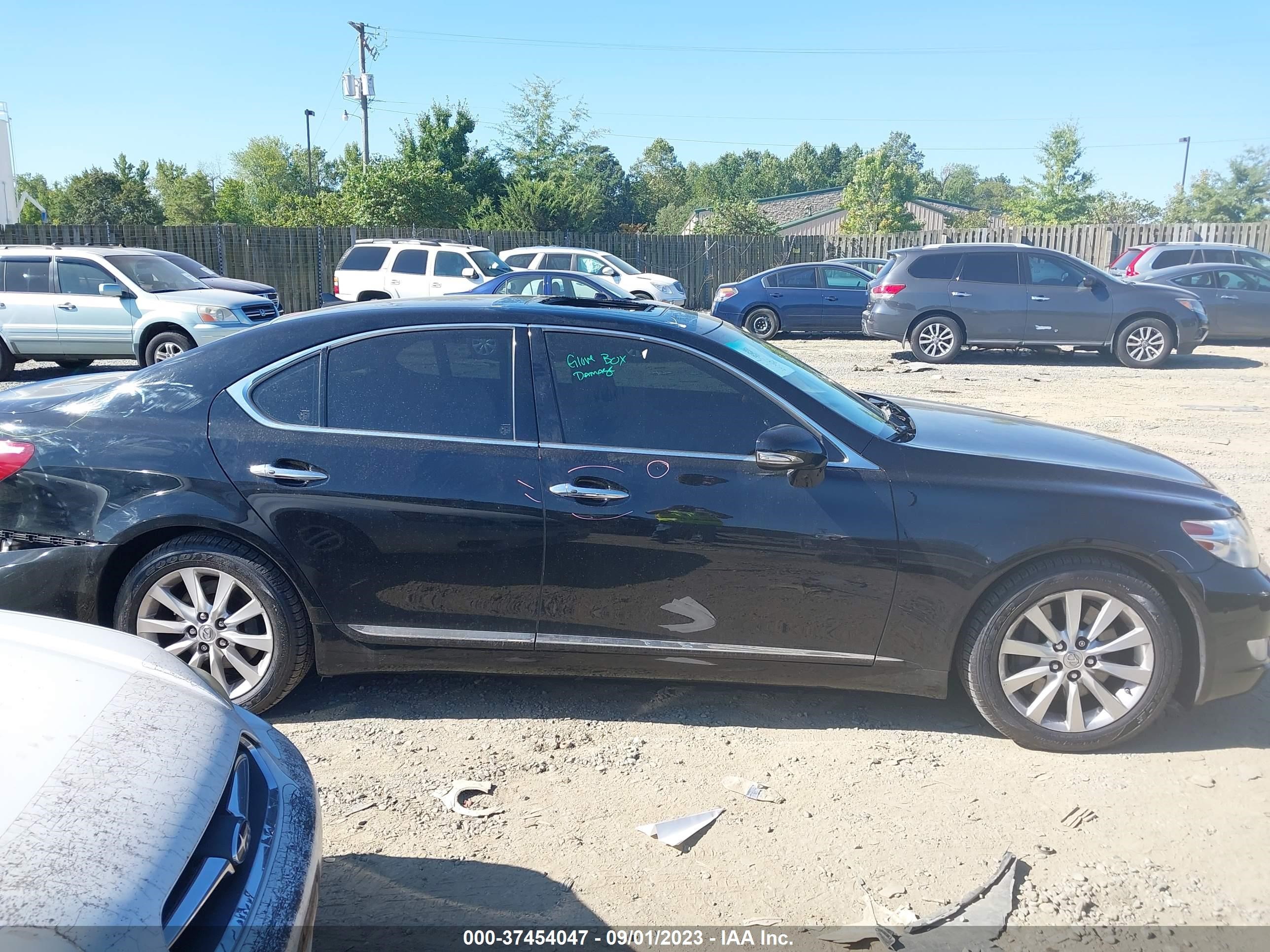 Photo 12 VIN: JTHCL5EF6B5010146 - LEXUS LS 