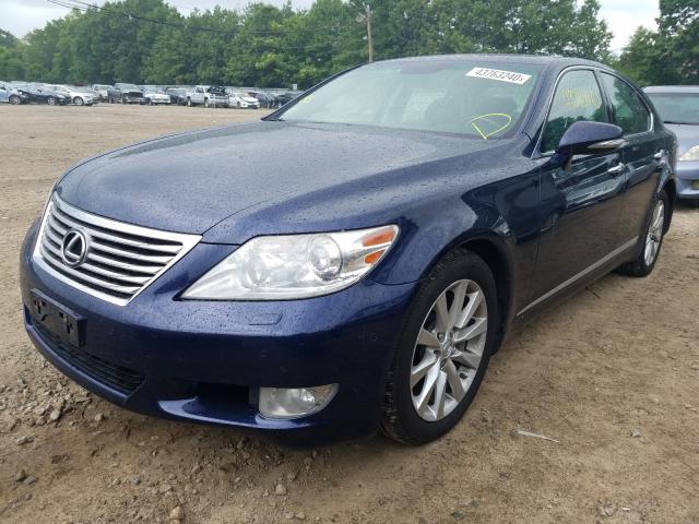 Photo 1 VIN: JTHCL5EF6B5010342 - LEXUS LS 460 