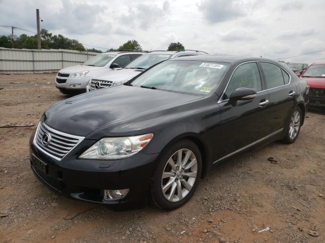 Photo 1 VIN: JTHCL5EF6B5010907 - LEXUS LS 460 