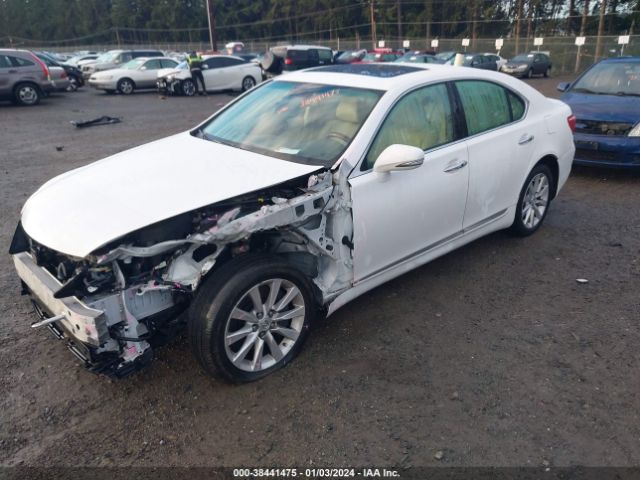 Photo 1 VIN: JTHCL5EF6B5011541 - LEXUS LS 460 