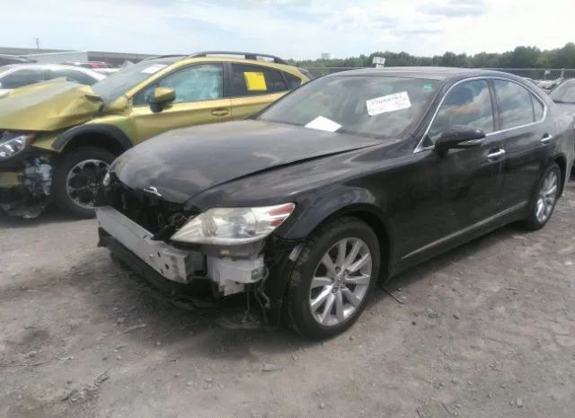 Photo 1 VIN: JTHCL5EF6B5012334 - LEXUS LS 460 