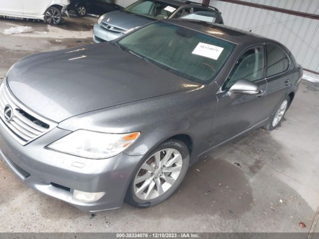 Photo 1 VIN: JTHCL5EF6C5014568 - LEXUS LS 460 