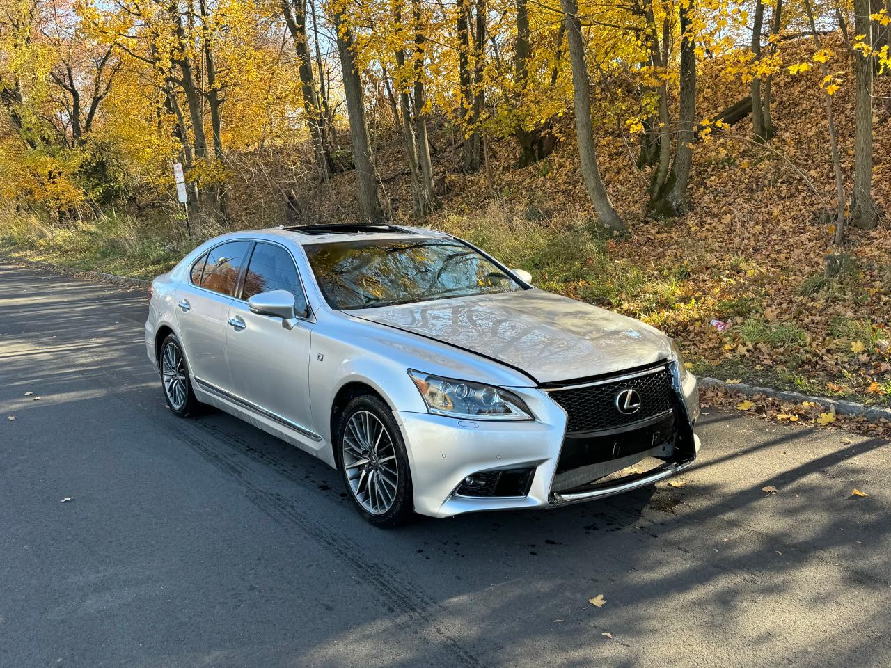 Photo 1 VIN: JTHCL5EF6D5017438 - LEXUS LS 