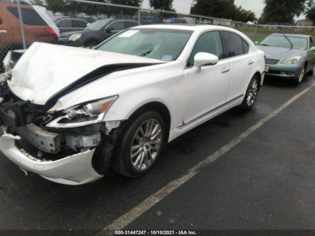 Photo 1 VIN: JTHCL5EF6F5023520 - LEXUS LS 460 