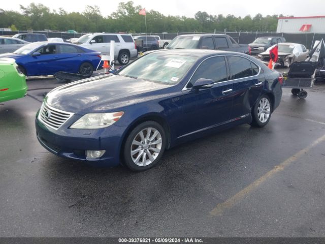 Photo 1 VIN: JTHCL5EF7A5006380 - LEXUS LS 460 