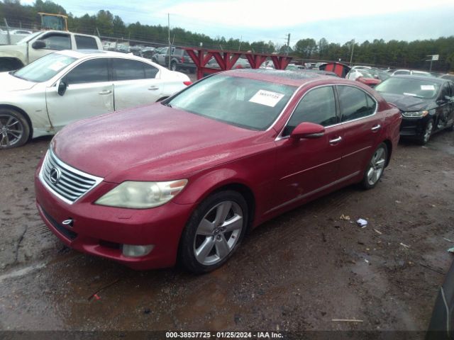 Photo 1 VIN: JTHCL5EF7A5007299 - LEXUS LS 460 