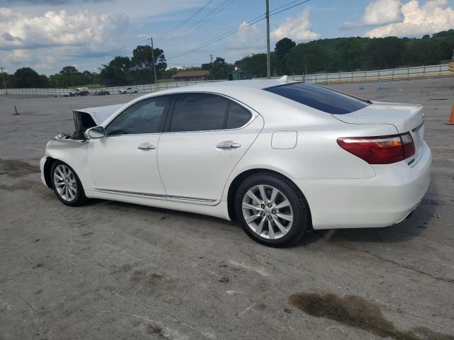 Photo 1 VIN: JTHCL5EF7B5012276 - LEXUS LS460 