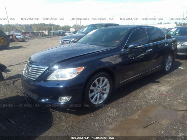 Photo 1 VIN: JTHCL5EF7C5013784 - LEXUS LS 460 