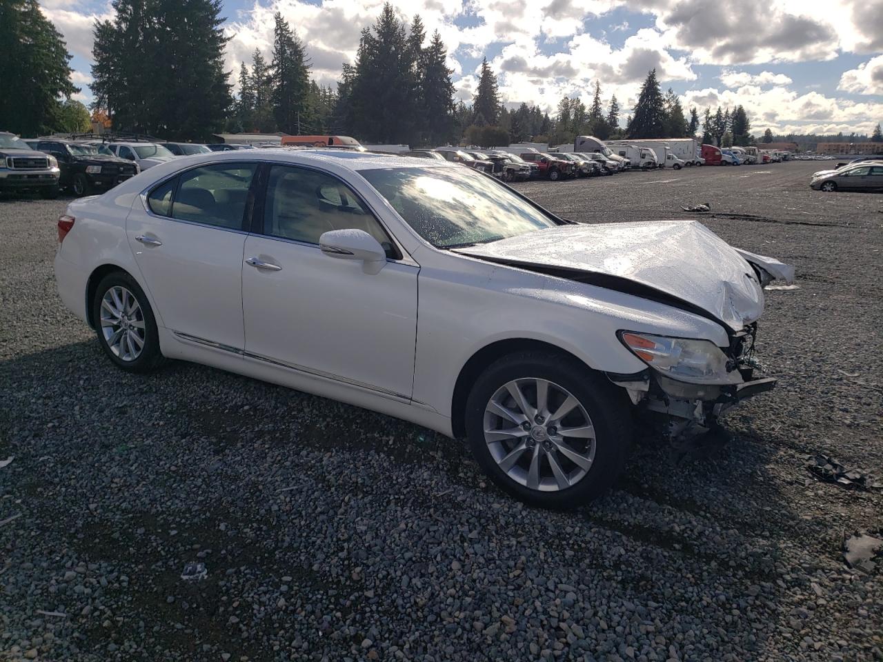 Photo 3 VIN: JTHCL5EF8B5010004 - LEXUS LS 