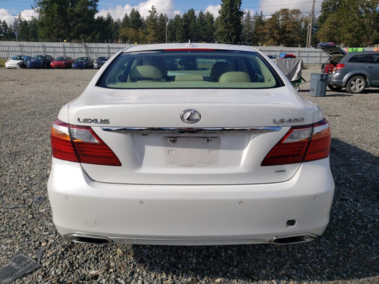 Photo 5 VIN: JTHCL5EF8B5010004 - LEXUS LS 