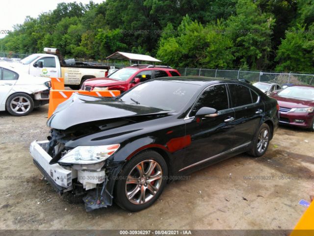 Photo 1 VIN: JTHCL5EF8B5011301 - LEXUS LS 460 