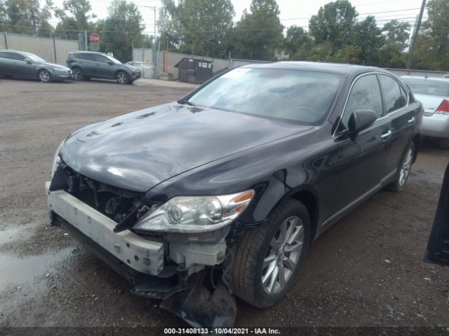 Photo 1 VIN: JTHCL5EF9A5005344 - LEXUS LS 460 