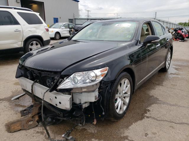 Photo 1 VIN: JTHCL5EF9B5009556 - LEXUS LS 460 