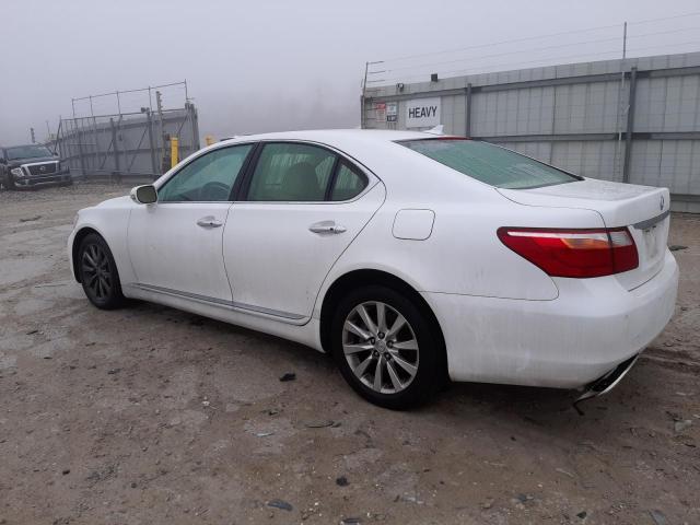 Photo 1 VIN: JTHCL5EF9B5009704 - LEXUS LS 460 