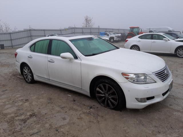 Photo 3 VIN: JTHCL5EF9B5009704 - LEXUS LS 460 