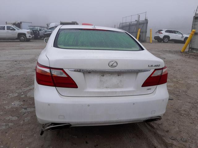 Photo 5 VIN: JTHCL5EF9B5009704 - LEXUS LS 460 