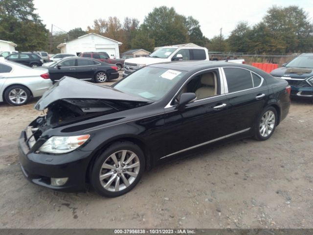 Photo 1 VIN: JTHCL5EF9B5009797 - LEXUS LS 460 