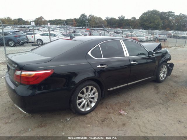 Photo 3 VIN: JTHCL5EF9B5009797 - LEXUS LS 460 