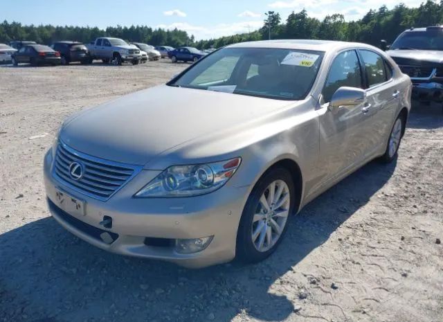 Photo 1 VIN: JTHCL5EF9B5009900 - LEXUS LS 