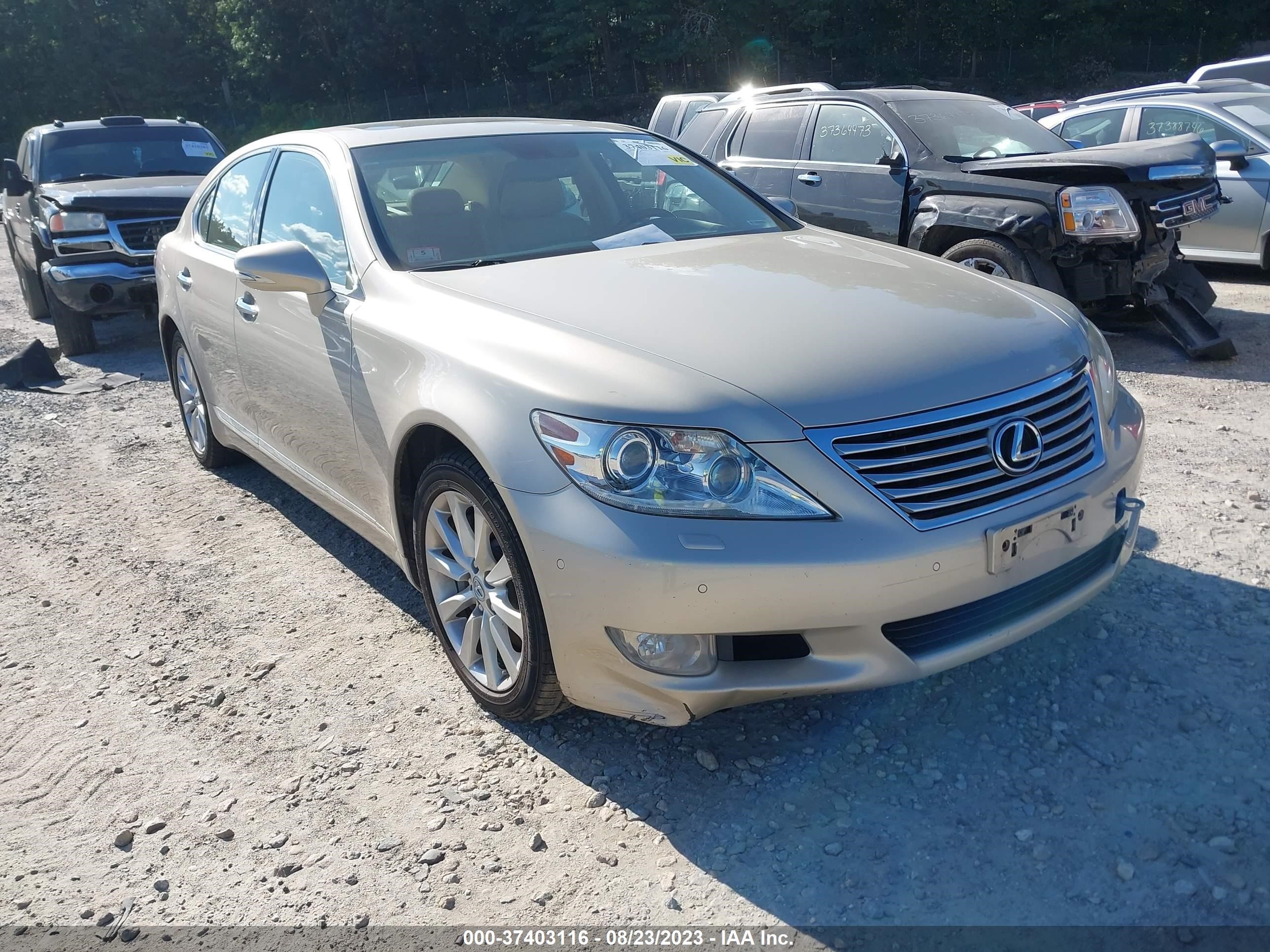 Photo 0 VIN: JTHCL5EF9B5009900 - LEXUS LS 