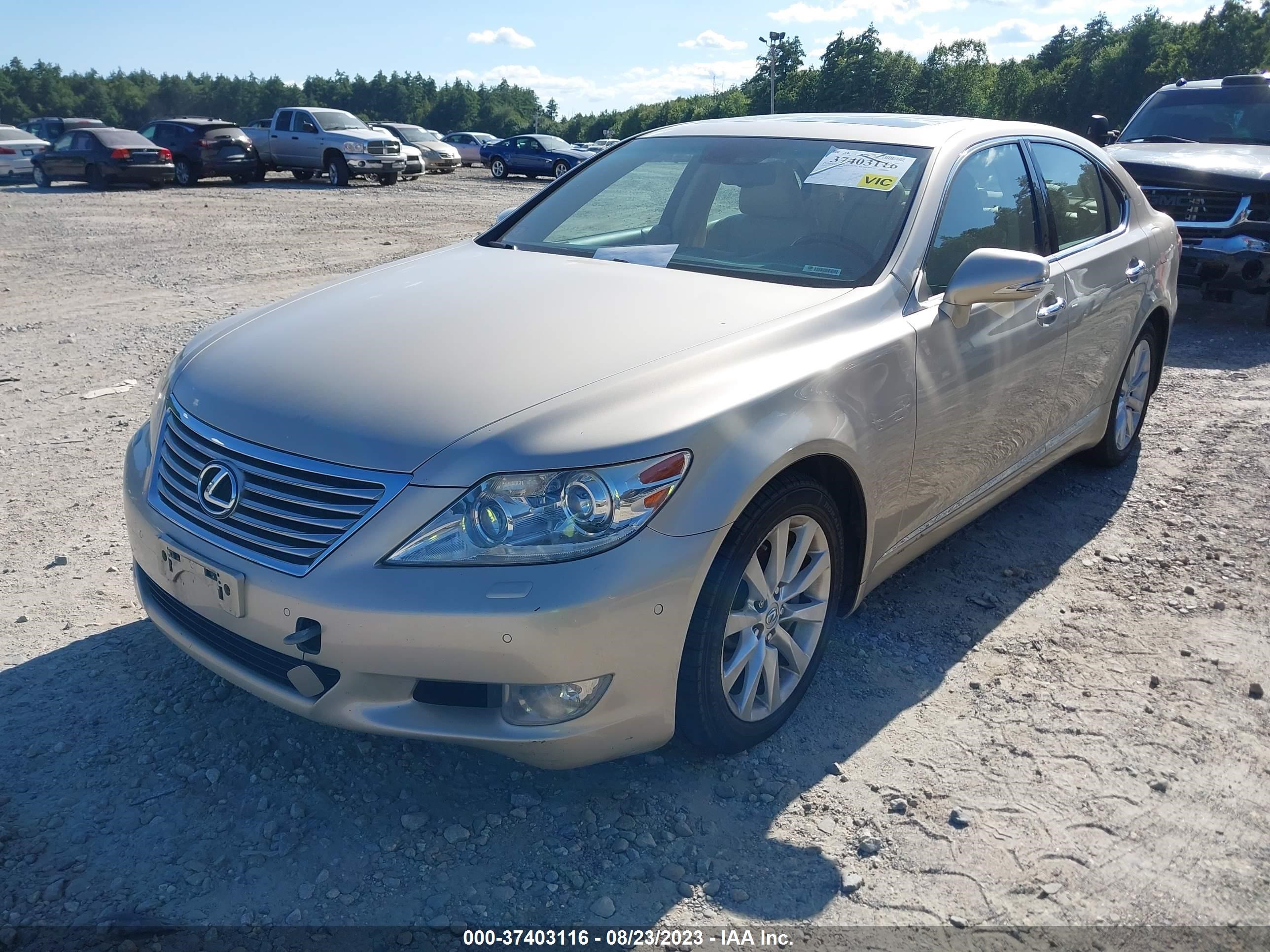 Photo 1 VIN: JTHCL5EF9B5009900 - LEXUS LS 