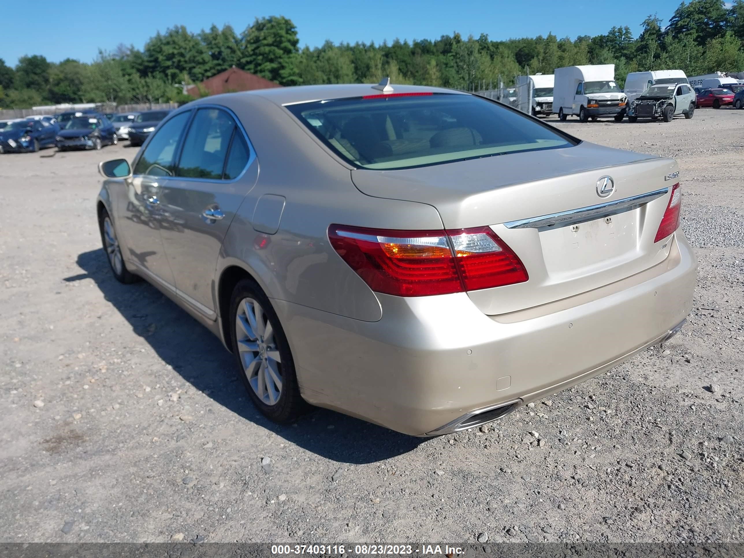 Photo 2 VIN: JTHCL5EF9B5009900 - LEXUS LS 