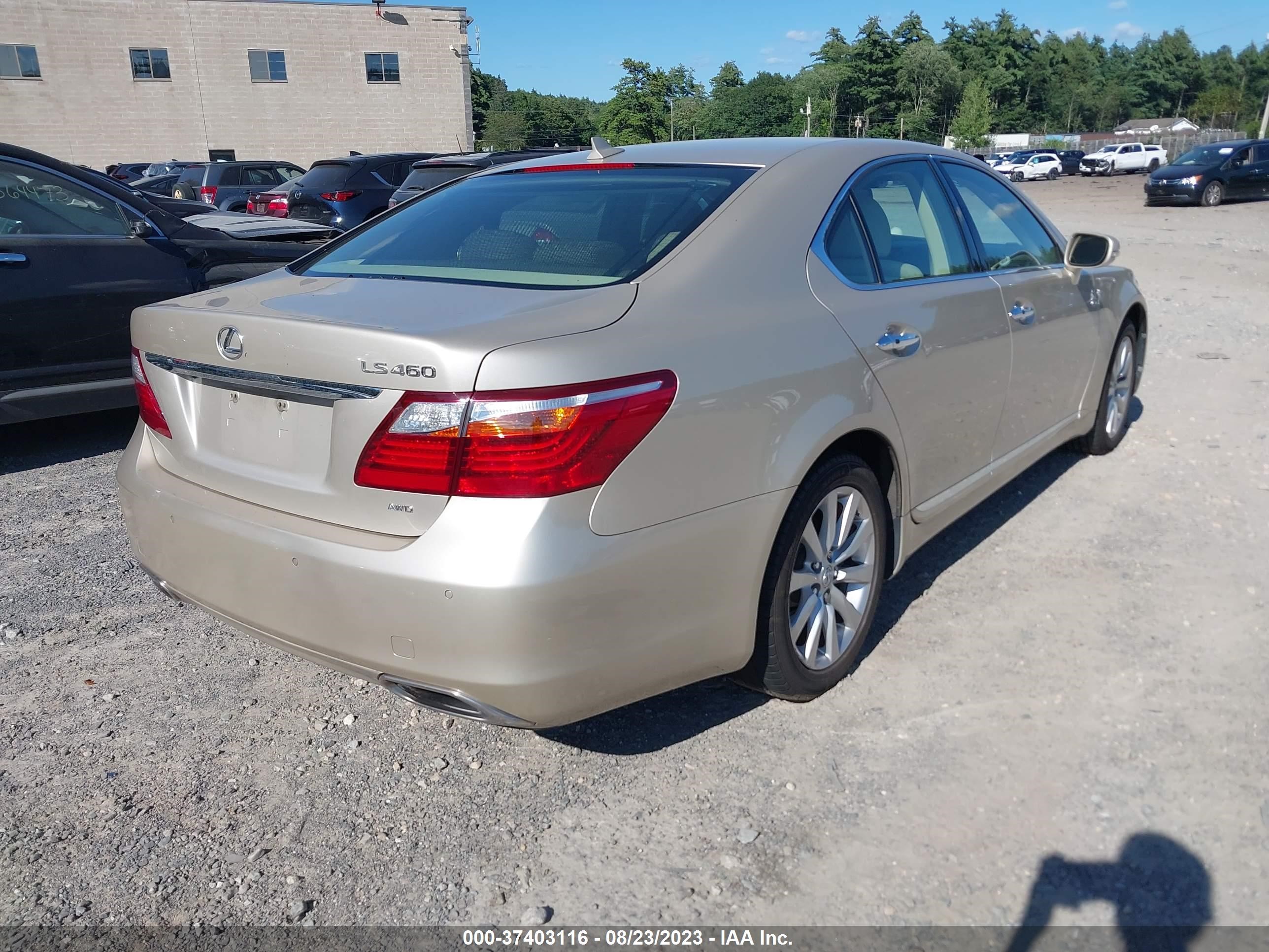 Photo 3 VIN: JTHCL5EF9B5009900 - LEXUS LS 