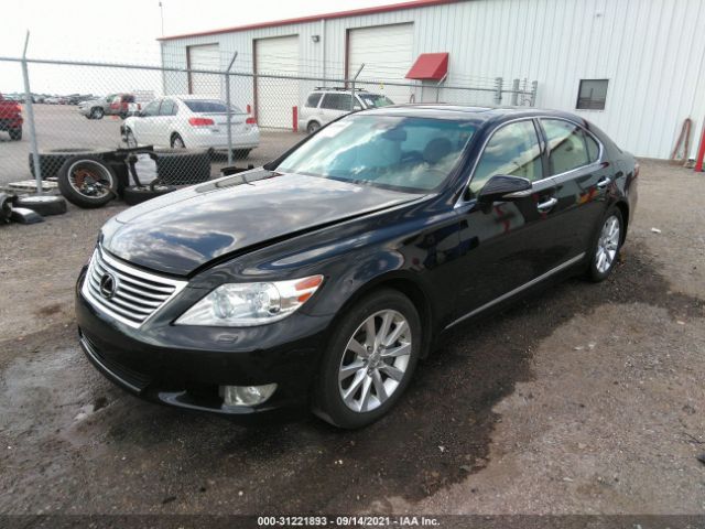 Photo 1 VIN: JTHCL5EF9C5014547 - LEXUS LS 460 