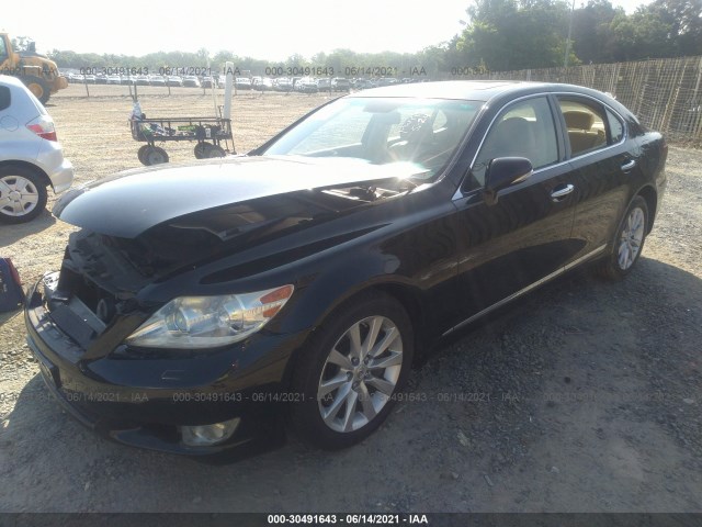 Photo 1 VIN: JTHCL5EF9C5015195 - LEXUS LS 460 