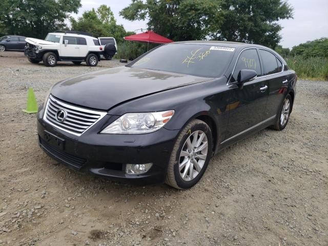 Photo 1 VIN: JTHCL5EFXB5009162 - LEXUS LS 460 